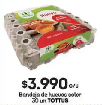 Tottus Bandeja de huevos color 30 un Tottus oferta