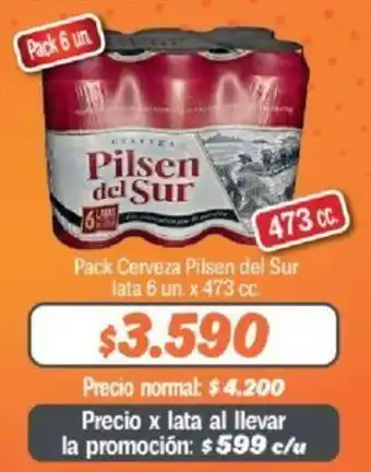 Mayorista 10 Pack Cerveza Pilsen del Sur lata 6 un. x 473 cc. oferta