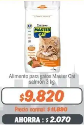 Mayorista 10 Alimento para gatos Master Cat salmón 3kg oferta