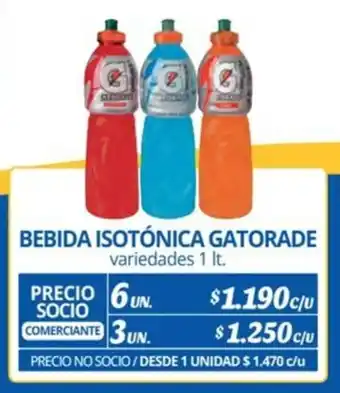 Alvi BEBIDA ISOTÓNICA GATORADE variedades 1 lt. x 6 un. oferta