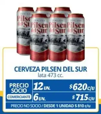 Alvi CERVEZA PILSEN DEL SUR lata 473 cc. x 12 un. oferta