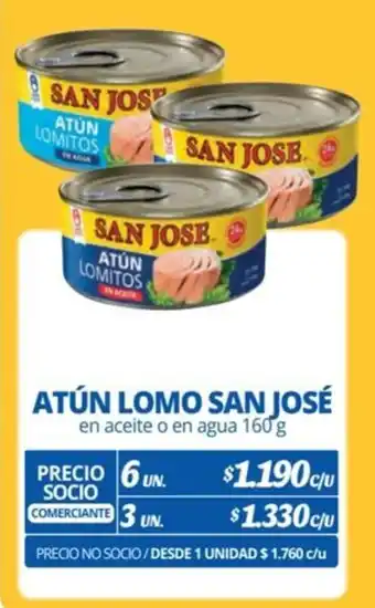 Alvi ATÚN LOMO SAN JOSÉ en aceite o en agua 160 g x 6 un. oferta