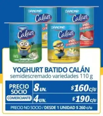 Alvi YOGHURT BATIDO CALÁN semidescremado variedades 110 g x 8 un. oferta