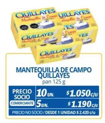 Alvi MANTEQUILLA DE CAMPO QUILLAYES pan 125 g x 10 un. oferta