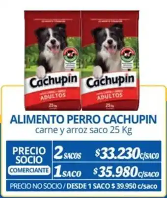 Alvi ALIMENTO PERRO CACHUPIN carne y arroz saco 25 Kg x 2sacos oferta