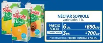 Alvi NÉCTAR SOPROLE variedades 1 lt. x 6un oferta