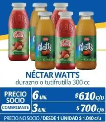 Alvi NÉCTAR WATT'S durazno o tutifrutilla 300cc x 6un oferta