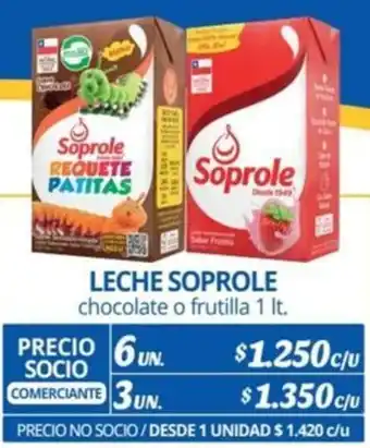 Alvi LECHE SOPROLE chocolate o frutilla 1lt x 6un oferta