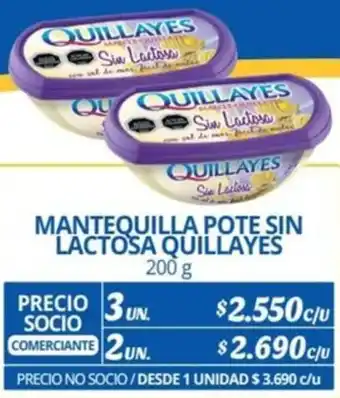 Alvi MANTEQUILLA POTE SIN LACTOSA QUILLAYES 200g x 3un oferta