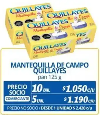 Alvi MANTEQUILLA DE CAMPO QUILLAYES pan 125g x 10un oferta
