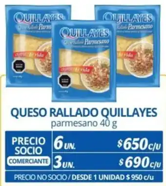 Alvi QUESO RALLADO QUILLAYES parmesano 40g x 6un oferta