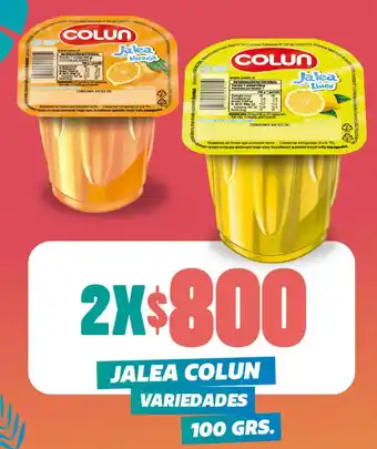 JALEA COLUN VARIEDADES 100 GR