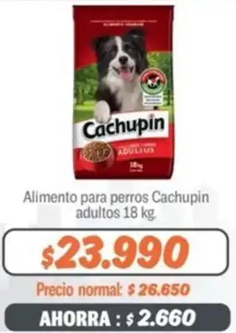 Mayorista 10 Alimento para perros Cachupin adultos 18kg oferta