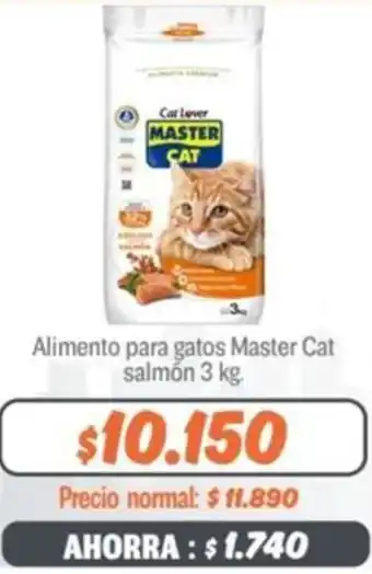 Mayorista 10 Alimento para gatos Master Cat salmón 3kg oferta