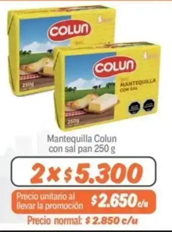Mayorista 10 Mantequilla Colun con sal pan 250g oferta