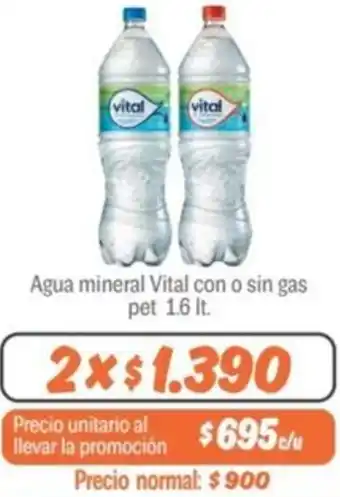 Mayorista 10 Agua mineral Vital con o sin gas pet 1.6lt oferta