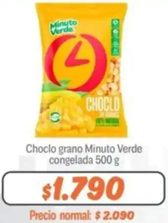 Mayorista 10 Choclo grano Minuto Verde congelada 500g oferta