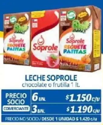 Alvi LECHE SOPROLE chocolate o frutilla 1lt x 6un oferta