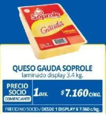 Alvi QUESO GAUDA SOPROLE laminado display 3.4kg x 1dis oferta