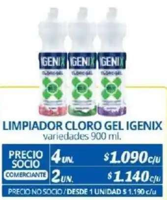 Alvi LIMPIADOR CLORO GEL IGENIX variedades 900ml x 4un oferta