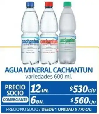 Alvi AGUA MINERAL CACHANTUN variedades 600ml x 12un oferta