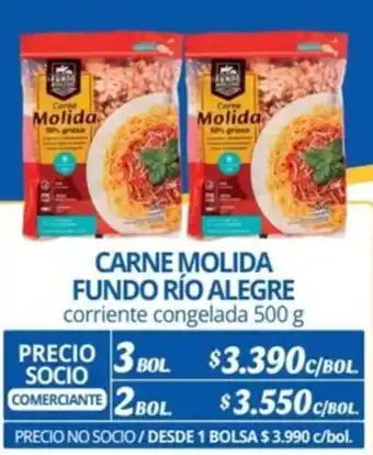 Alvi CARNE MOLIDA FUNDO RÍO ALEGRE corriente congelada 500g x 3bol oferta