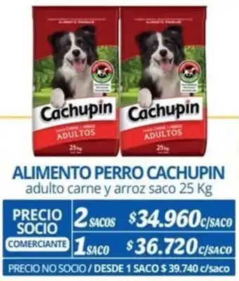 Alvi ALIMENTO PERRO CACHUPIN adulto carne y arroz saco 25kg x 2sacos oferta