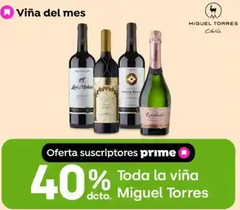 Toda la viña Miguel Torres