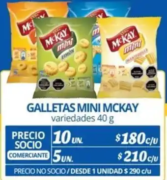 Alvi GALLETAS MINI MCKAY variedades 10un 40g oferta