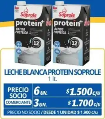 Alvi LECHE BLANCA PROTEIN SOPROLE 6un 1It oferta