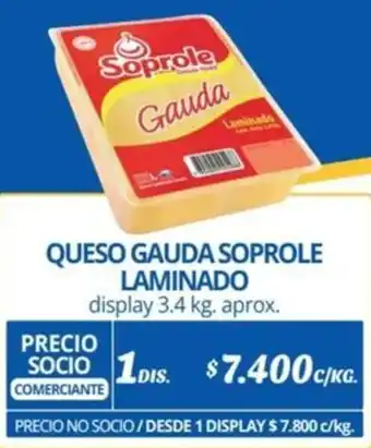 Alvi QUESO GAUDA SOPROLE LAMINADO display 3.4 kg. aprox. oferta