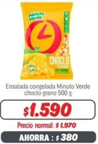 Mayorista 10 Ensalada congelada Minuto Verde choclo grano 500g oferta