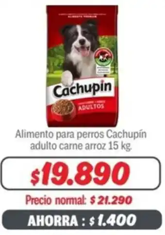 Mayorista 10 Alimento para perros Cachupín adulto carne arroz 15kg oferta