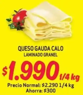 Mayorista 10 QUESO GAUDA CALO LAMINADO GRANEL oferta