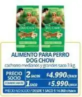 Paté para perros
