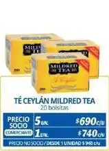 Alvi Bebidas oferta