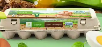Huevos ecológicos tottus