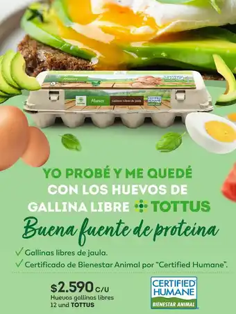 Tottus Huevos oferta