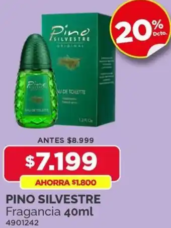 PINO SILVESTRE Fragancia 40ml