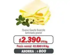 Fabrics Soprole - queso gauda laminado granel oferta