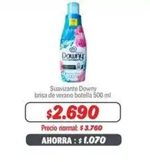 Mayorista 10 Downy - suavizante brisa de verano botella oferta