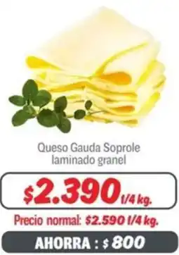 Mayorista 10 Queso Gauda Soprole laminado granel oferta