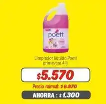 Mayorista 10 Poett - limpiador líquido oferta