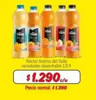 Mayorista 10 Andina del valle - nectar oferta