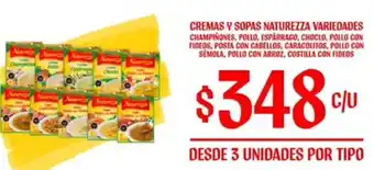 Comercial Castro CREMAS Y SOPAS NATUREZZA VARIEDADES oferta