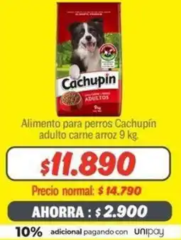 Mayorista 10 Alimento para perros Cachupín adulto carne arroz 9kg oferta