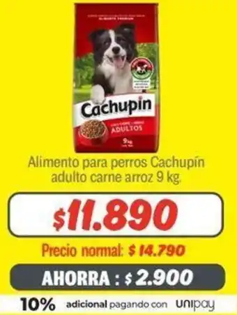 Mayorista 10 Alimento para perros Cachupín adulto carne arroz 9kg oferta