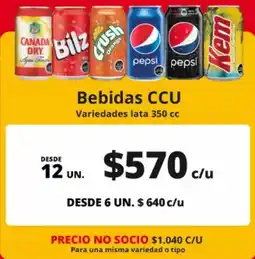 Alvi Bilz - ccu - bebidas oferta