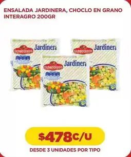 Interagro - ensalada jardinera, choclo en grano