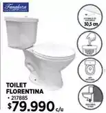Construmart Fanaloza - toilet florentina oferta